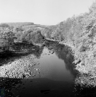 River Swale, Whitecliffe Woods